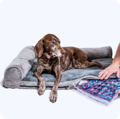 Cooling Dog Bed