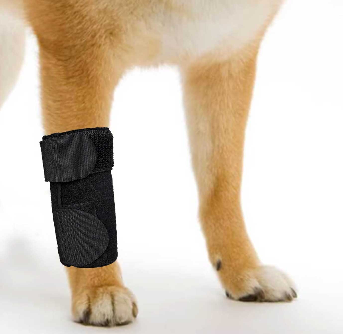 Neoprene Front Leg Wrap for Dogs