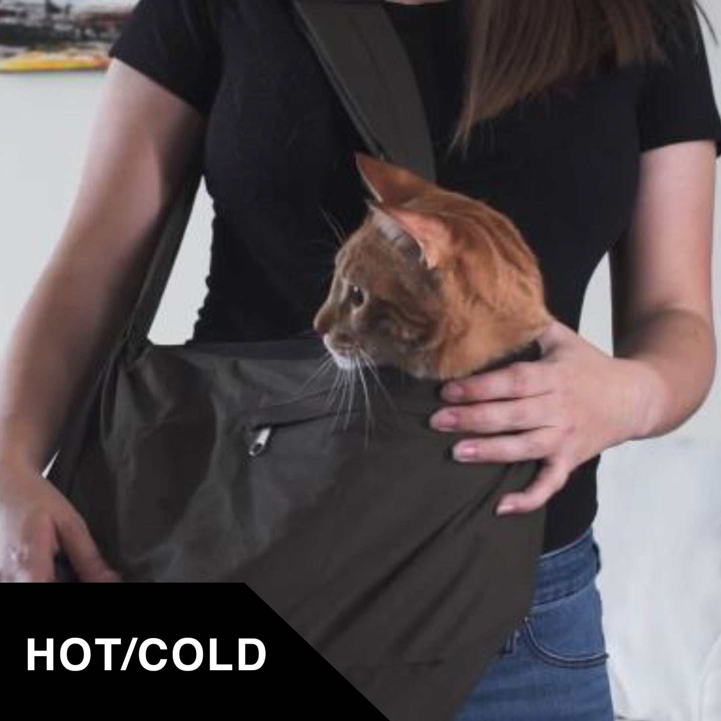 Hot & Cold Reusable Pet Sling